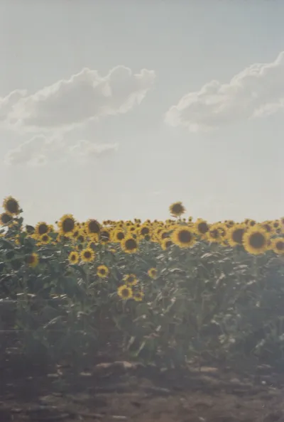 Paisagem